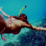 Best Tropical Deep House Mix 2026 Chill Vocal Summer Vibes In 4K UHD For TV Deep Paradise