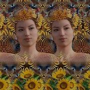 Go Figure 3D Stereogram Optical Illusion
