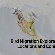 Bird Migration Explorer Demo Locations And Connections
