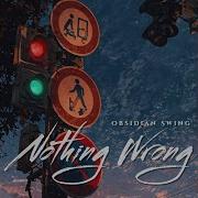 Nothing Wrong