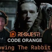 This Song Was So UNIQUE Code Orange Swallowing The Rabbit Whole PATREON REQUEST REACTION