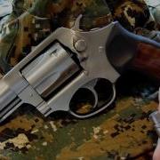 Револьверы 357 Magnum для медведей Бл дь