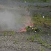 460 Vs Watermelon