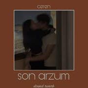 Nilüfer Son Arzum Slowed Reverb