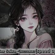 Мия бойка Экспонат Speed Up