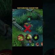 Hayabusa Counter Tutorial By Renyaaa