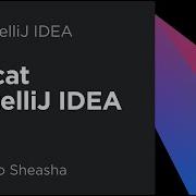 Tomcat In IntelliJ IDEA Ultimate