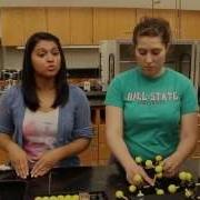 Lab 5 Structures Of Hydrocarbons A Molecular Modeling Lab 101