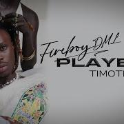 Fireboy DML Timoti Official Visualizer