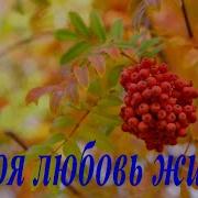 Сергей Дроздов Моя любовь жива ВИА Синяя птица