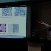 Visualizing Deep Learning Activations For Improved Malaria Cell Classification