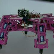 BeagleBone SpiderBot