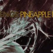 Revenge Pineapple Face S Big Day 1990