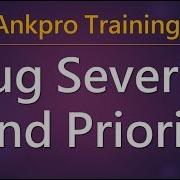 Manual Testing 40 What Is Bug Severity And Priority Differences Between Bug Severity And Priority
