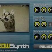 My Meowsynth Experience