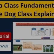 Java Class Fundamentals The Dog Class Explained Java Class Java Tutorial