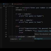 Python Mini Project Number Guessing Game