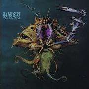 Ween The Mollusk Sessions Koko