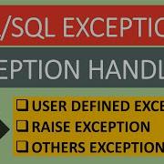 Pl SQL Raise Exception Handling Pl SQL Others Exception Handling