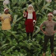 Christmas Ornaments SNL
