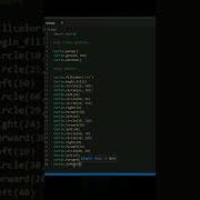 How A Developer Celebrates Rose Day Shorts Viral Roseday Python Turtle Programming