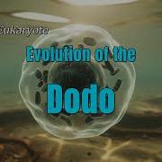 The Dodo Never Saw It Coming Evolution S Perfect Trap