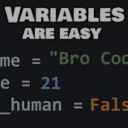 Python Variables For Beginners