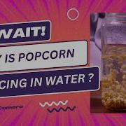 Can Popcorn Dance Amazing Science Experiment For Kids Junior Science Club