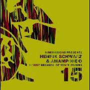 IV15 Henrik Schwarz Amampondo I Exist Because Of You Henrik Schwarz Live Version