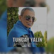 Tuncay Yalın Herhangi Biri