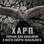 Тюрьма из которой не выходят Полярная сова Где сидят маньяки и как отбывают пожизненный срок