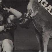 Bob Ketzer Blue Kangaroo