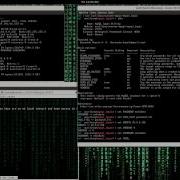 Brute Force MySQL With Mysql Login Using Metasploit Via Msfconsole Against Metasploitable