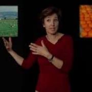 NASA Ask A Climate Scientist Food Production