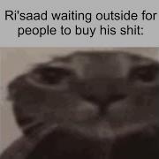 Skyrim Slander NPCs Edition