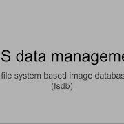 TPS Data Management A File System Based Image Database Fsdb