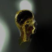 Interactive Dynamic Volume Illumination With Refraction And Caustics
