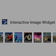 Introduction To IBooks Author Interactive Image Widgets