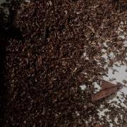 Sifted Leaf Litter Sibaliw R S Panay Is Philippines