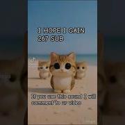 Los Meowl Dicen Meowl Bloxworld5083692