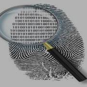 Introduction To Cyber Forensic FSC