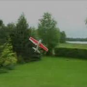 Acromaster In The Garden