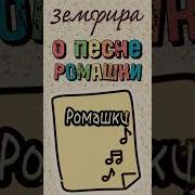 Земфира о песне Ромашки