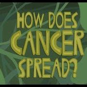 How Does Cancer Spread Through The Body Ivan Seah Yu Jun