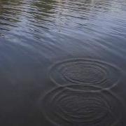Video Water Wave Interference