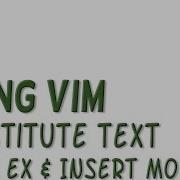 Using The VIM To Substitute Text
