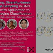 Diversity Based Hyperedge Sampling In GNN Learning MICCAI MLMI 2024