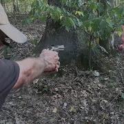 Colt King Cobra 22LR Woods Walk