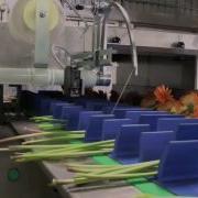 Flower Binding And Cutting Line Christiaens