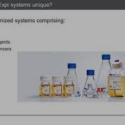 Strategies For High Titer Protein Expression Using The ExpiCHO And Expi293 Transient